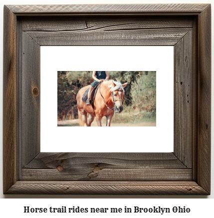 horse trail rides near me in Brooklyn, Ohio